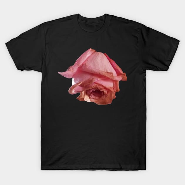 Soft decay T-Shirt by TuaPortal